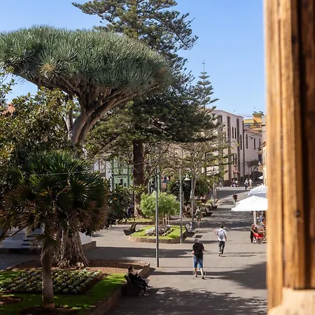 La Casa De La Camelia Szálloda
