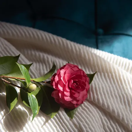 מלון La Casa De La Camelia *