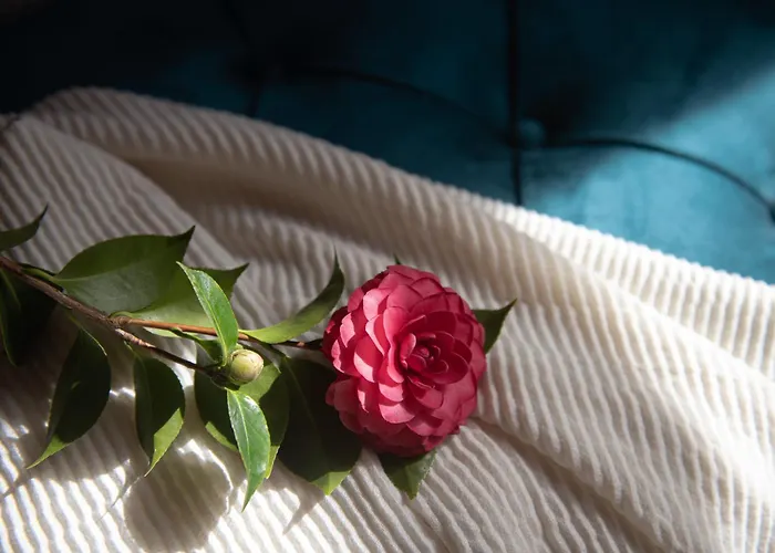 Hotel La Casa De La Camelia *