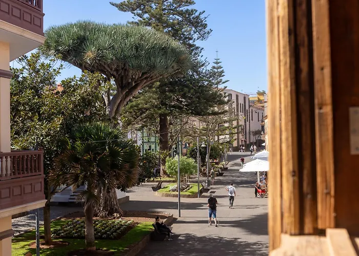 La Casa De La Camelia Hotel